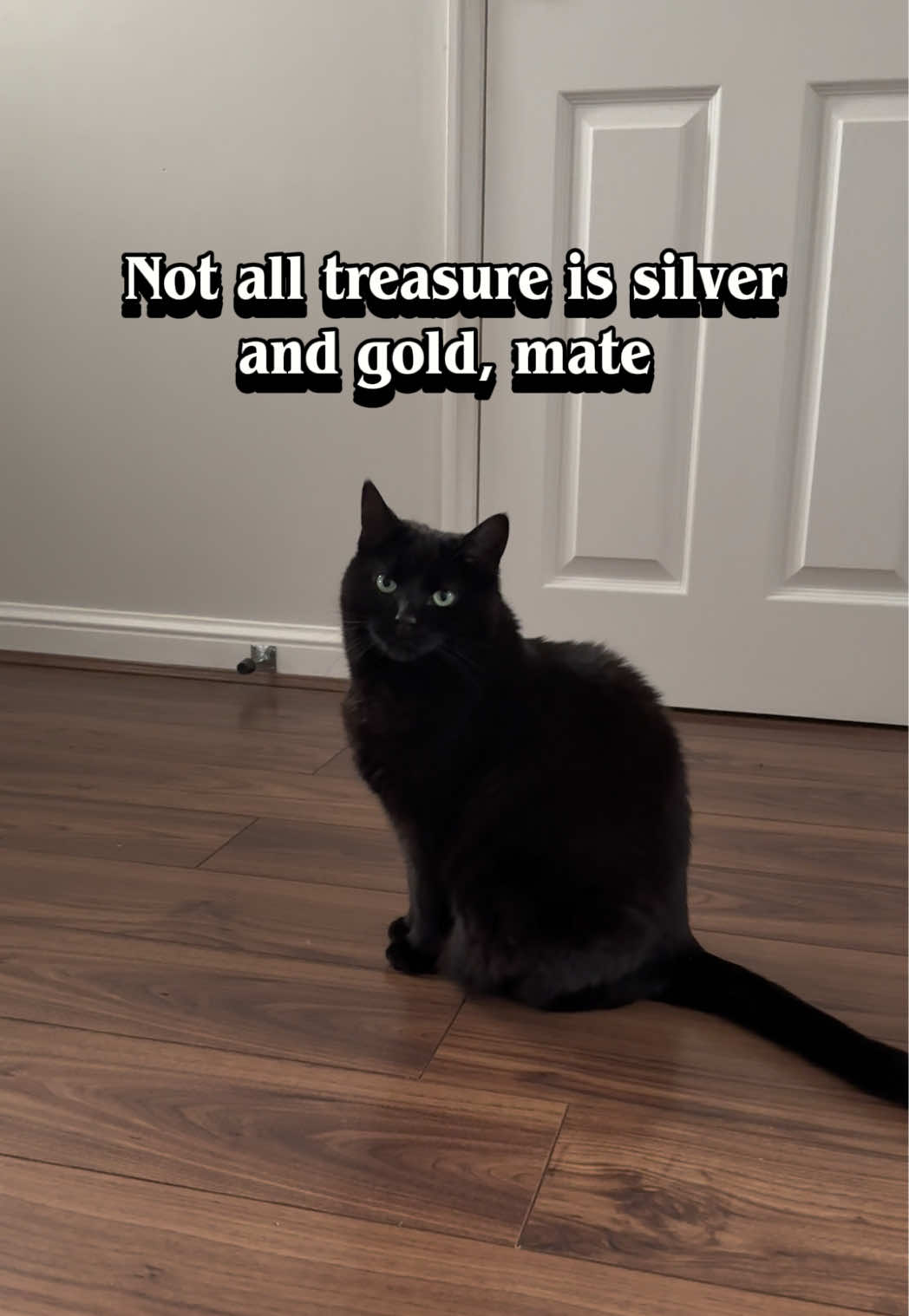 @PEPSI 🐾