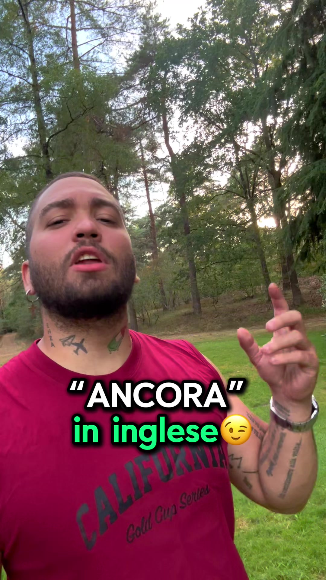 @Toneatti Luigi - Inglese