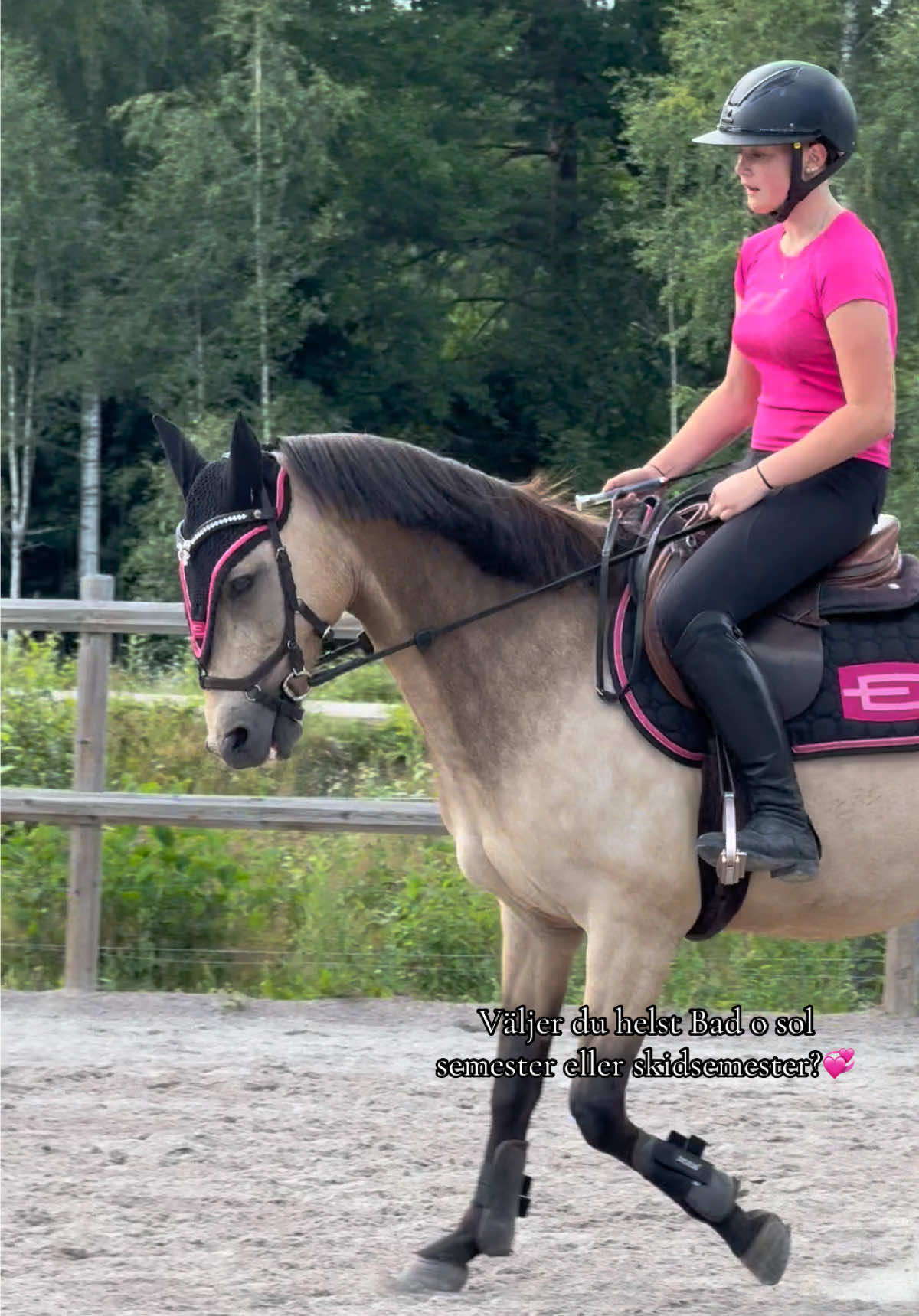 @🇸🇪Team Alslycka🇸🇪