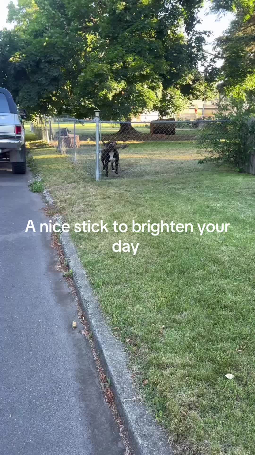 @Taylor