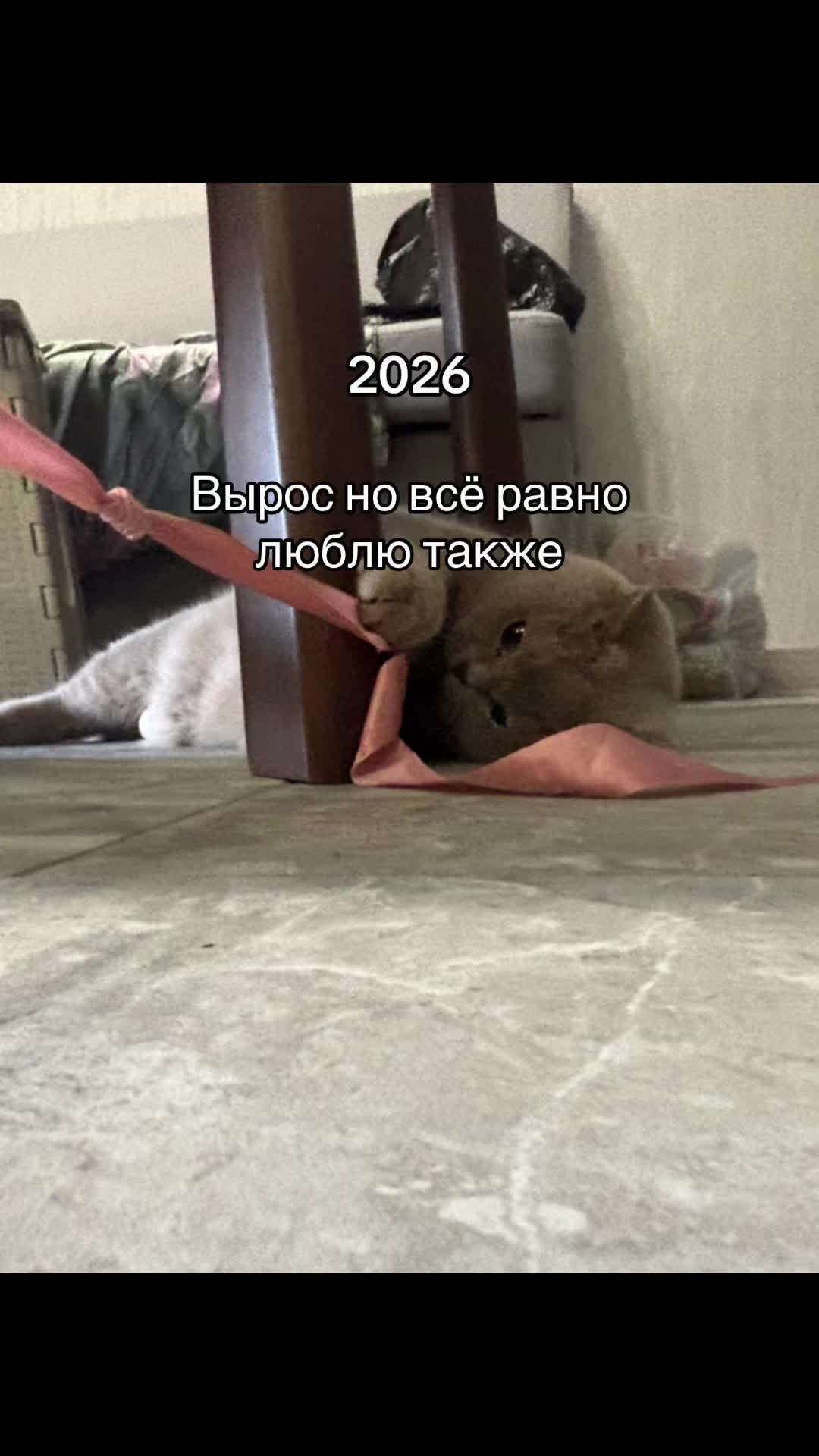@Снимаю Варю и своего котика
