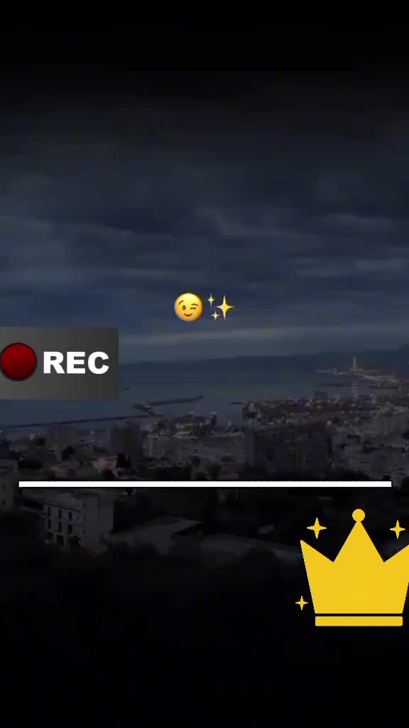 @Fox31 🦊