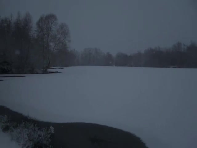@maistør.