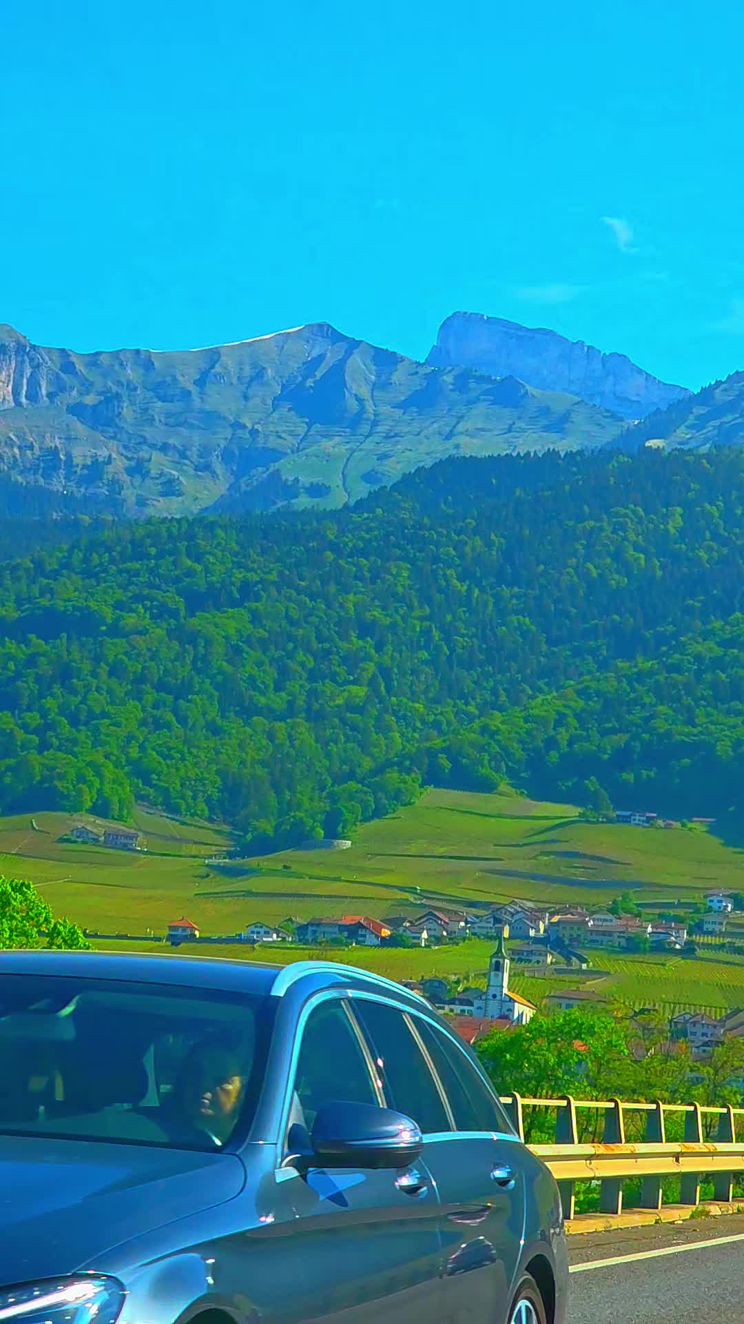 @🇨🇭flores Sérgio 🇵🇹