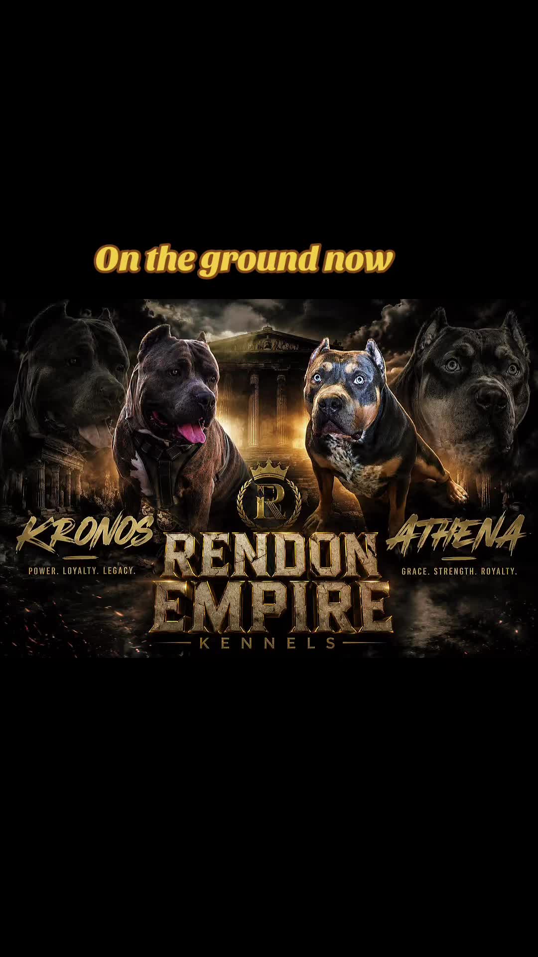@Honorbound_Bullys