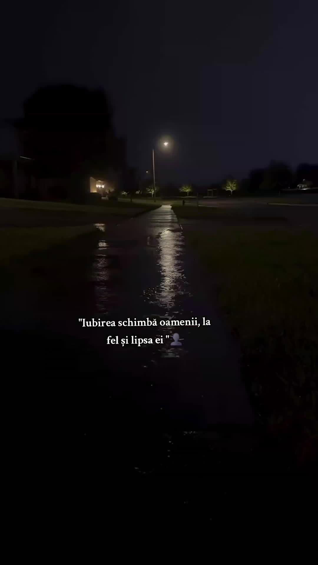 @🖤🌙