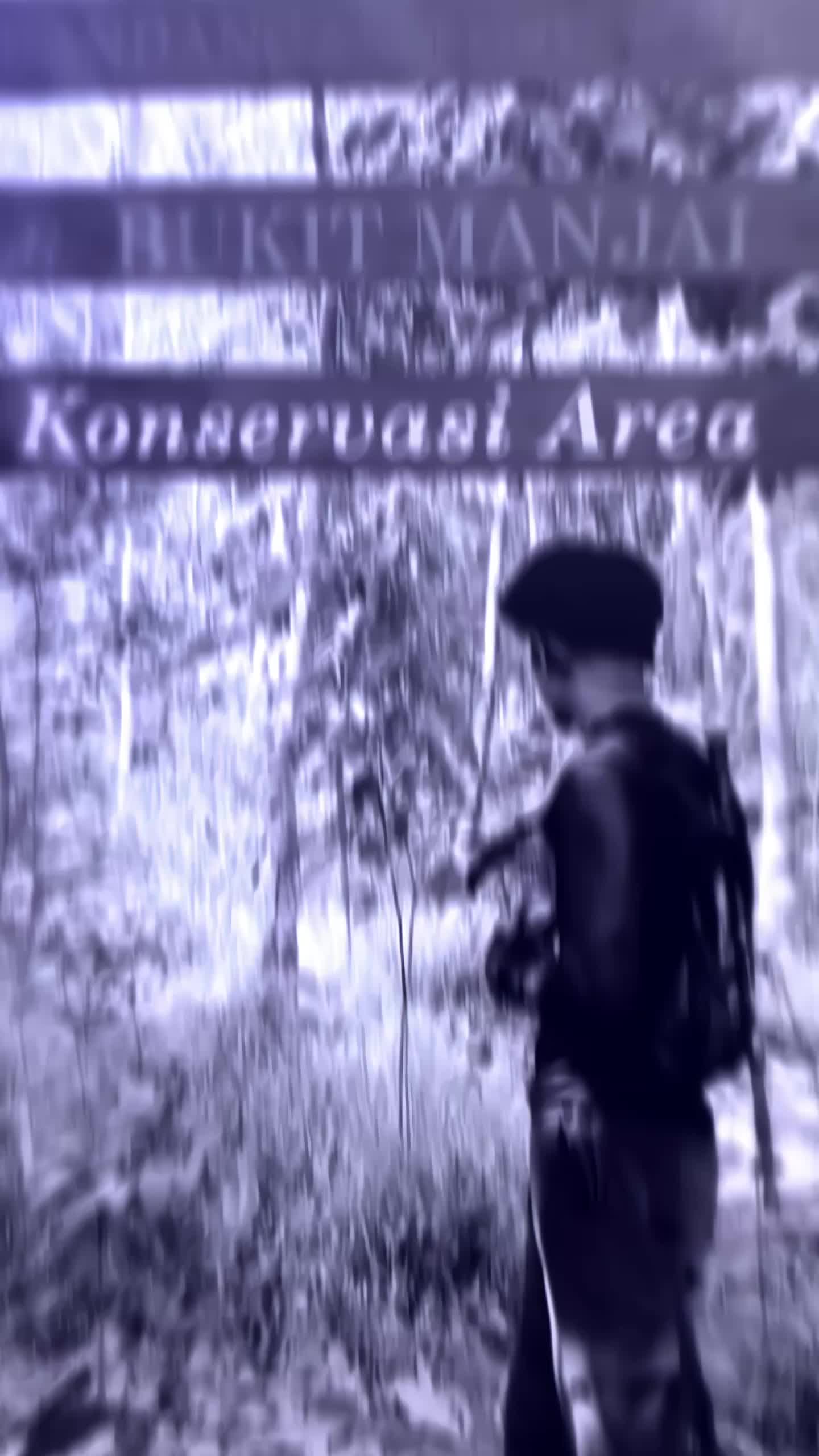 @f🌪