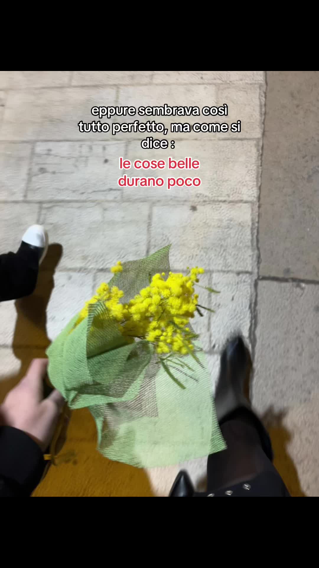 @𝓵𝓾 🔆