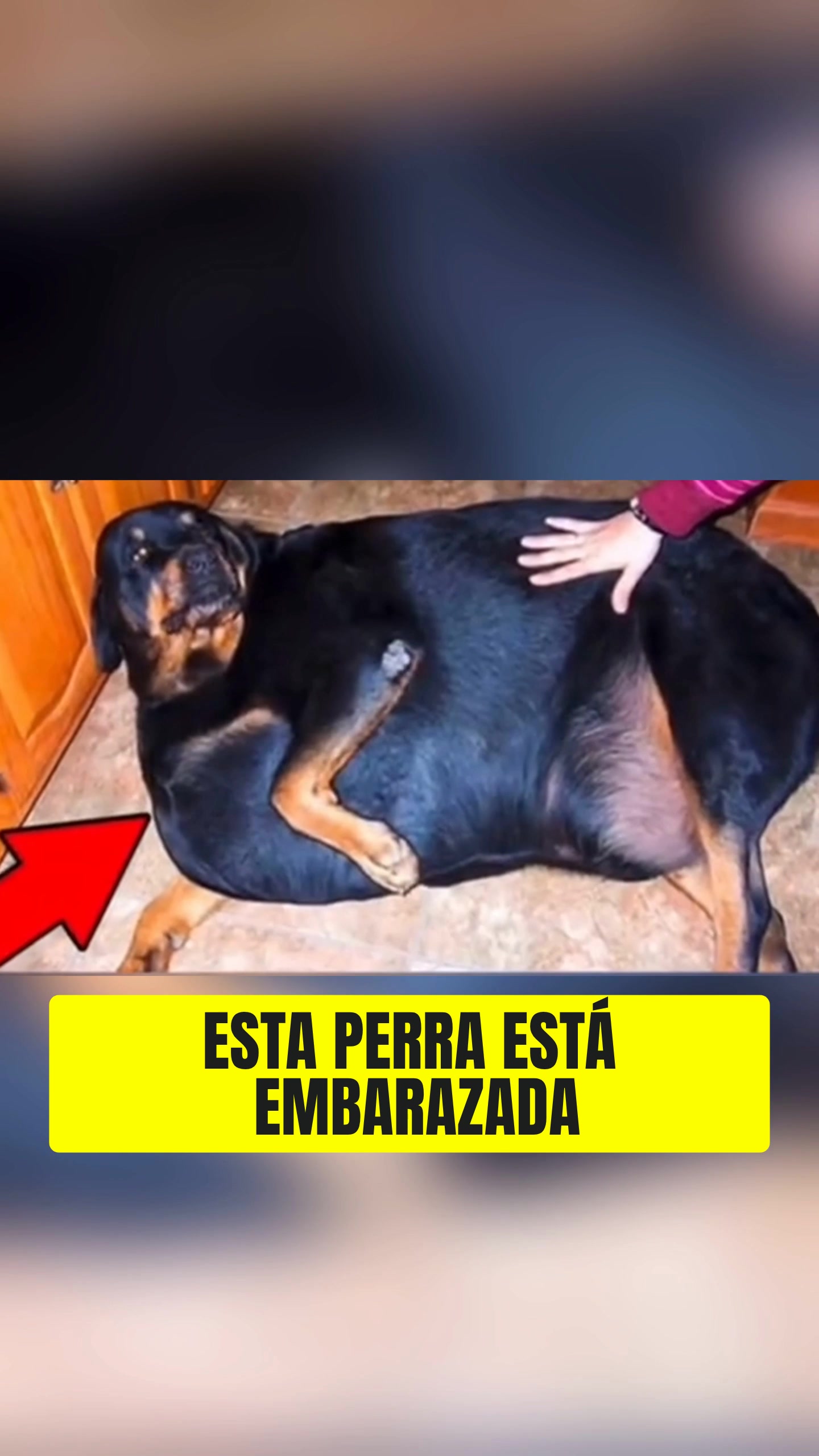 @História_real_estrangeiro