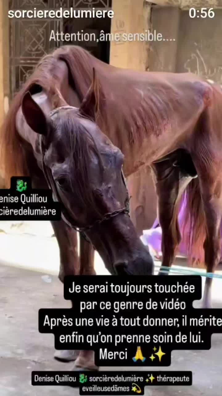 @Lauret Denise ✨🐉✨