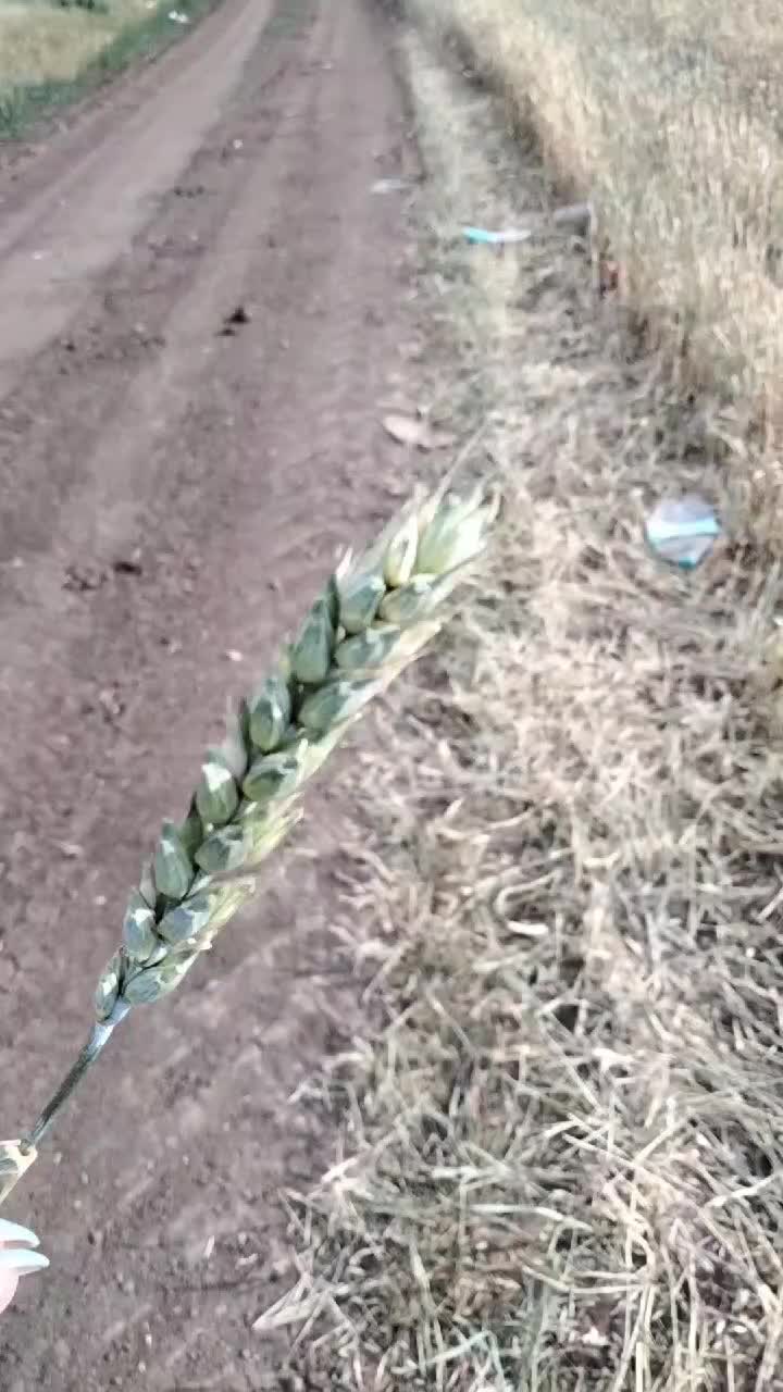 @Татьяна Саул