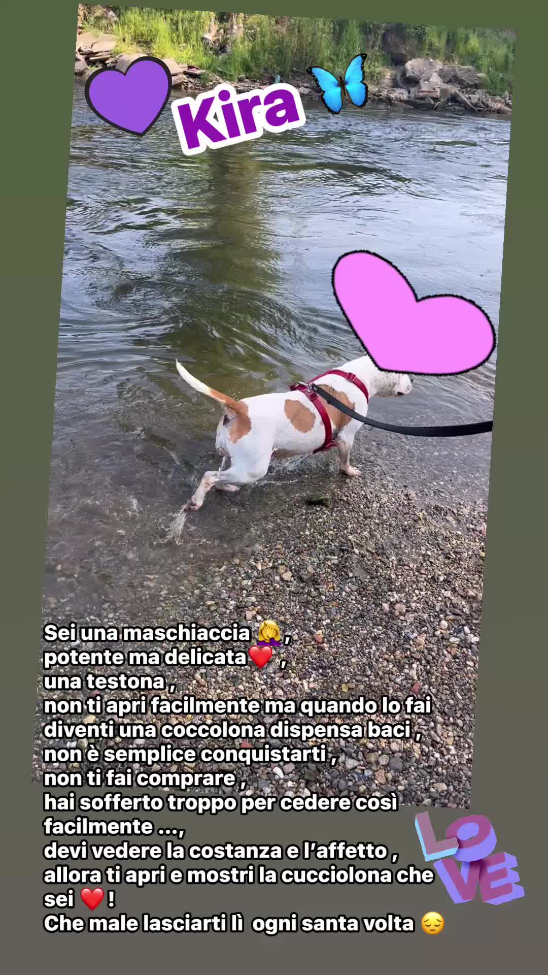 @Sara.Emy.Daisy