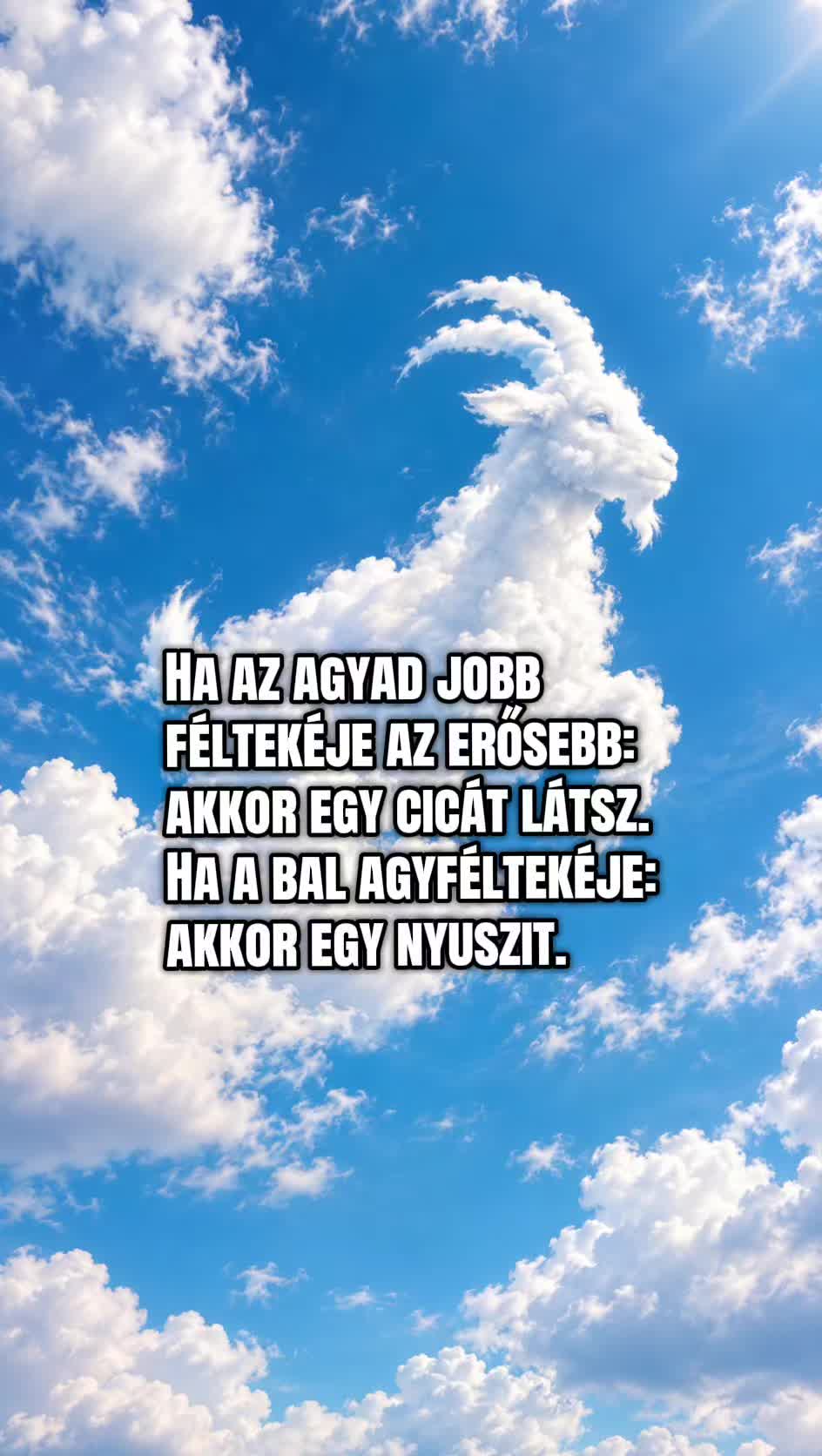 @Hódosi Ágnes 🇭🇺