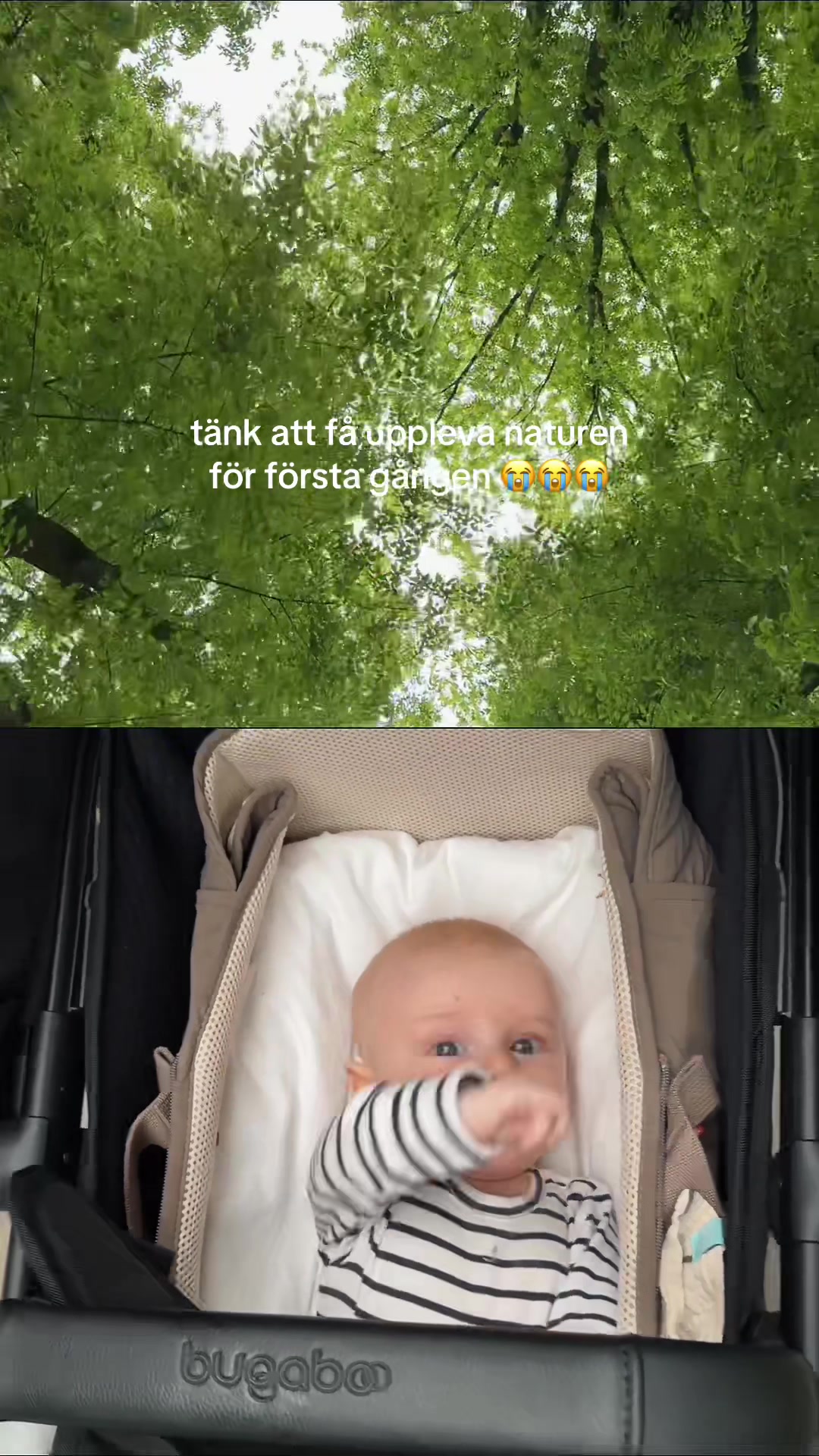 @tilda.koenig