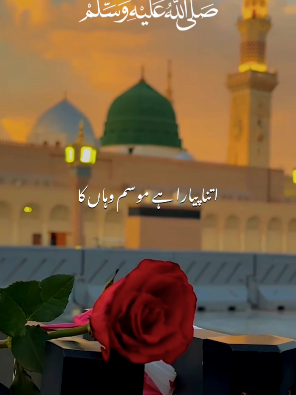 @𝙈𝘼𝙅𝙄𝘿 𝙒𝙍𝙄𝙏𝙀𝙎 ✨