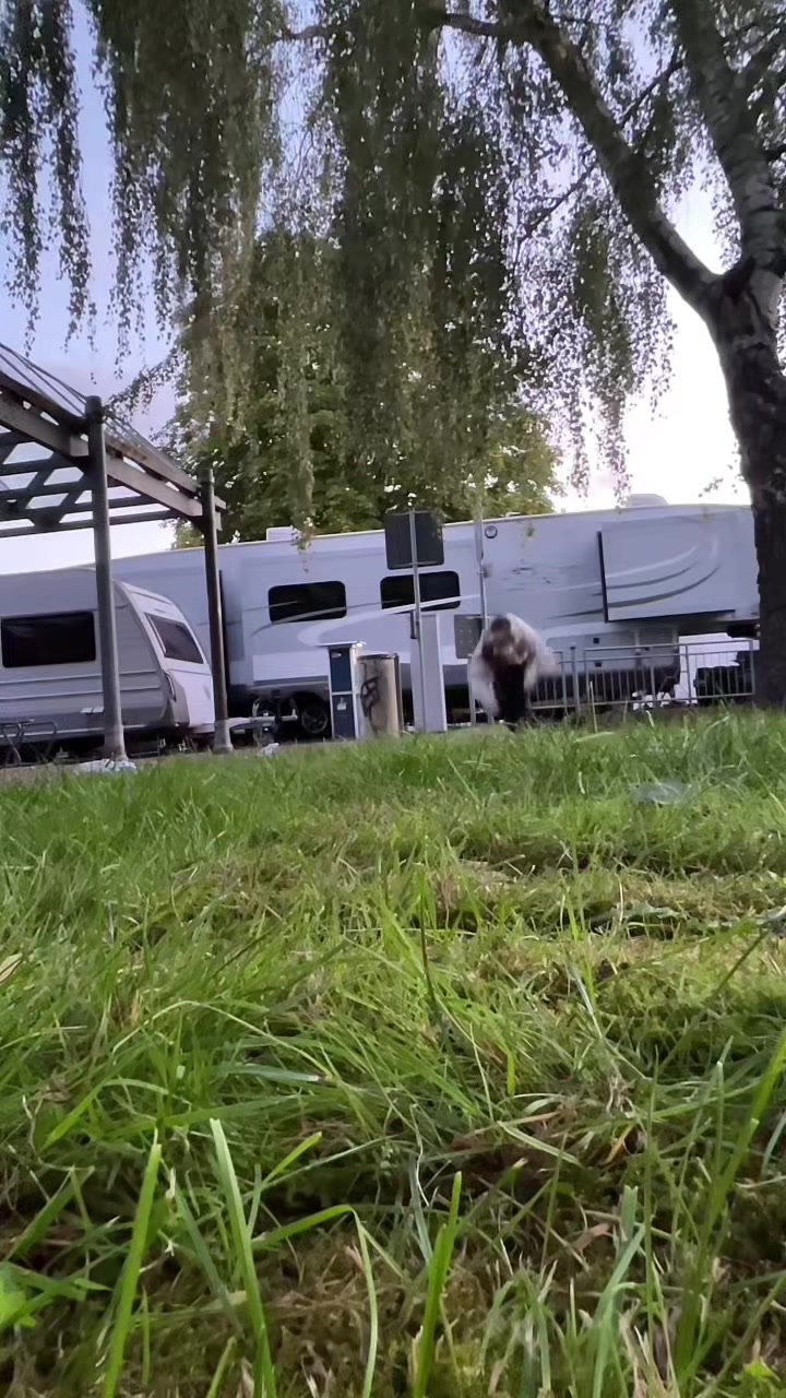 @Lio🦊