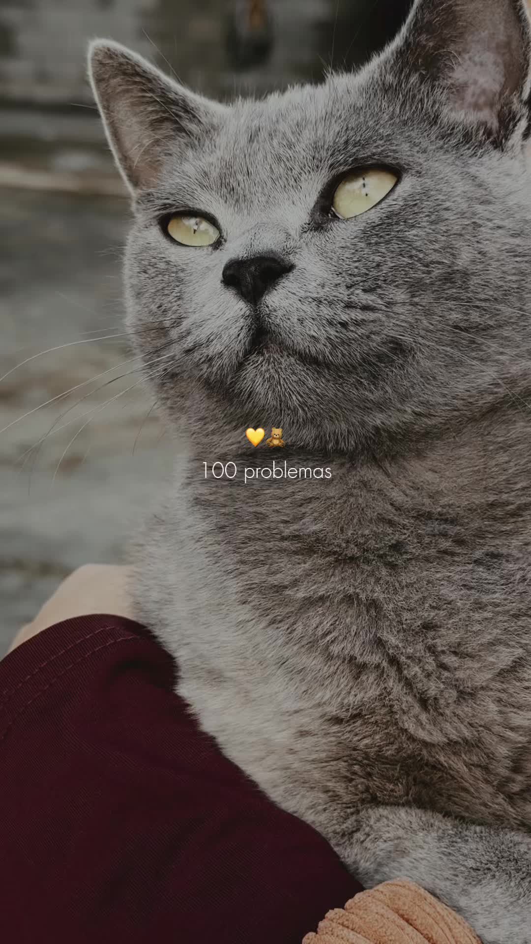 @Xhoo🧚🏻♀️🩵