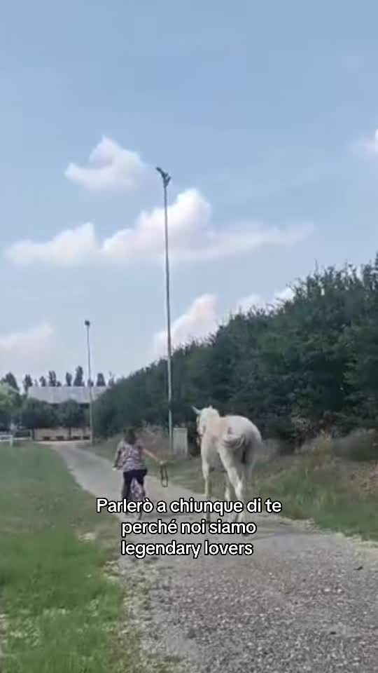 @Marta 🐴