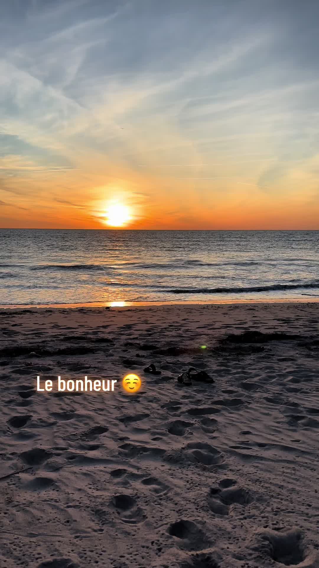 @🍁M&Delta;tieu &Pi; T🇫🇷