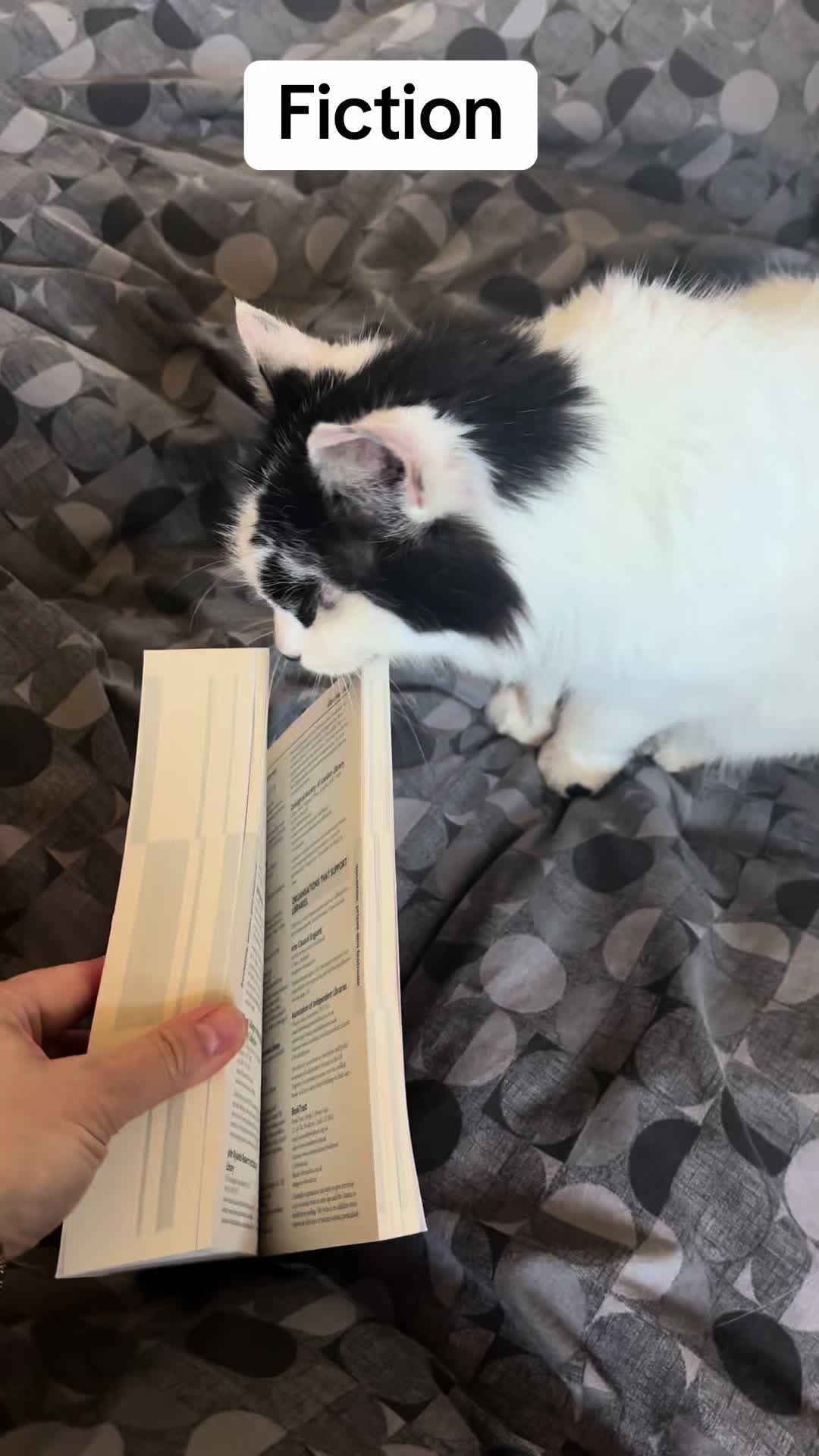 @hobeckbooks