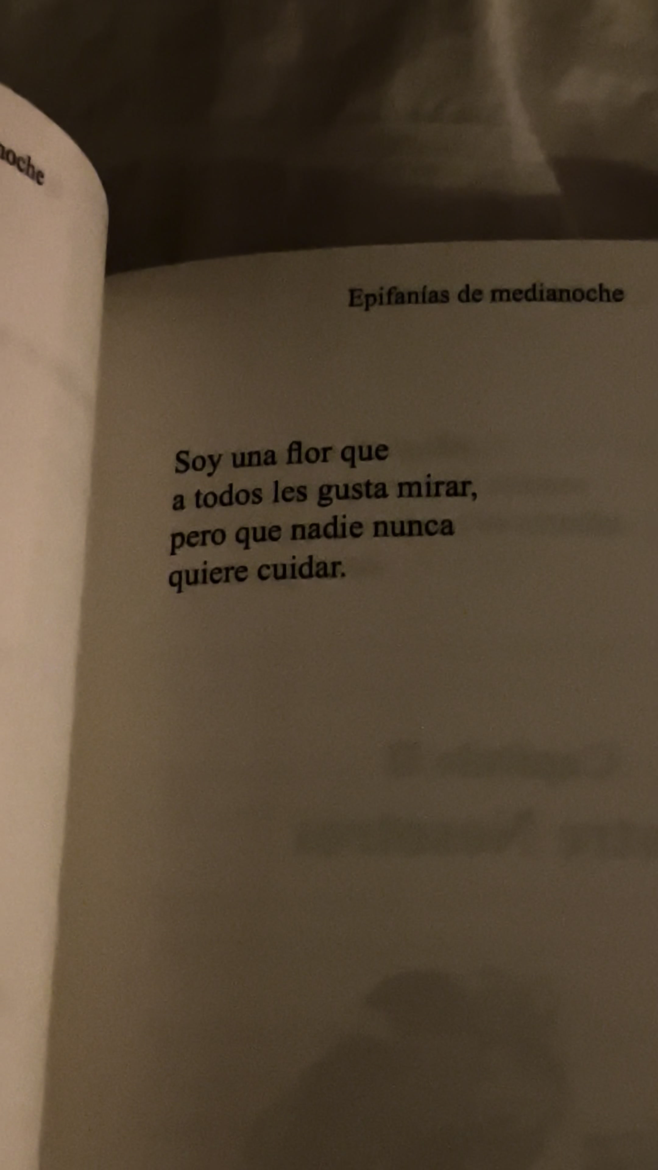 @epifaniasdemedianoche