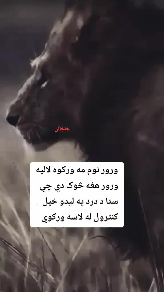 @`.`~☆~`.`