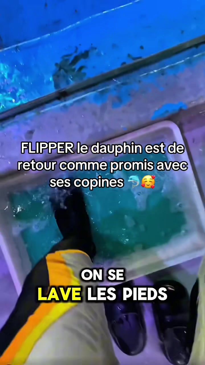 @OxarfisH ™