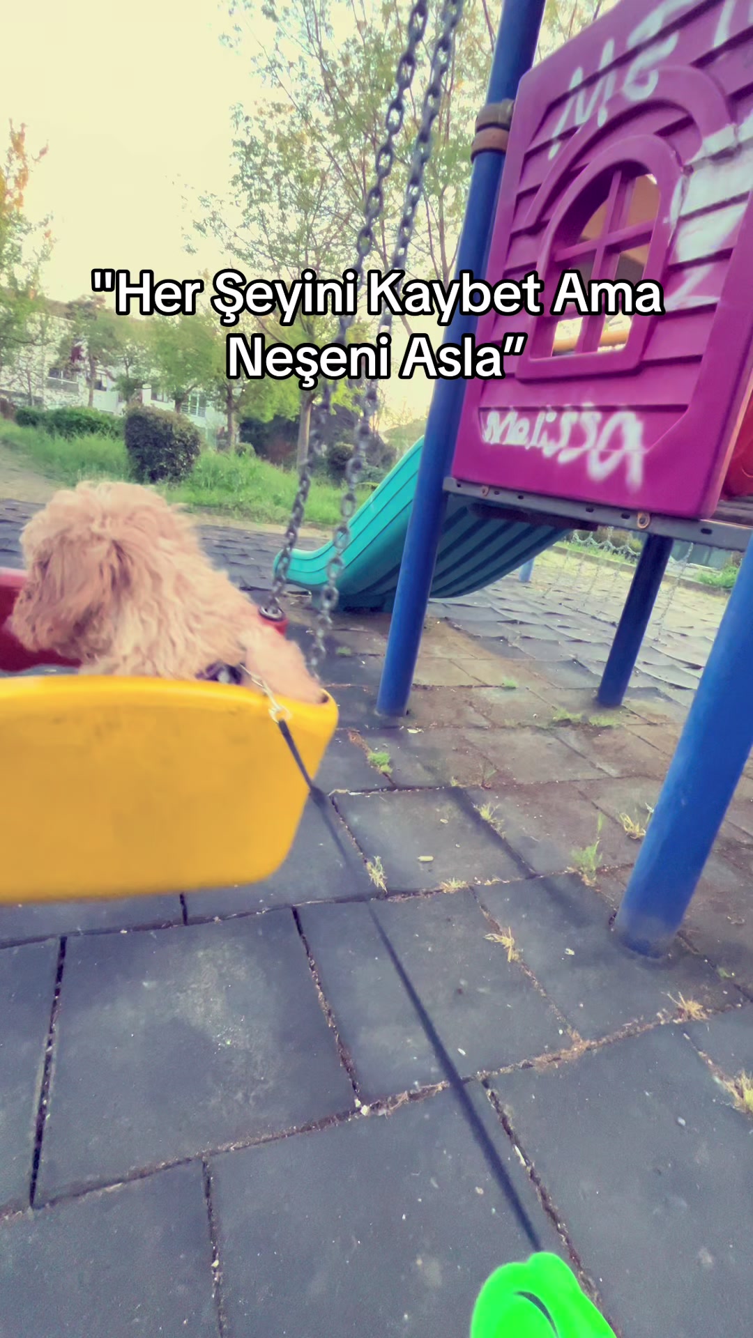 @🐶
