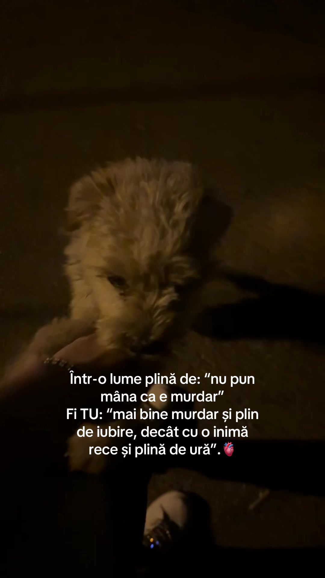 @iulia🧸