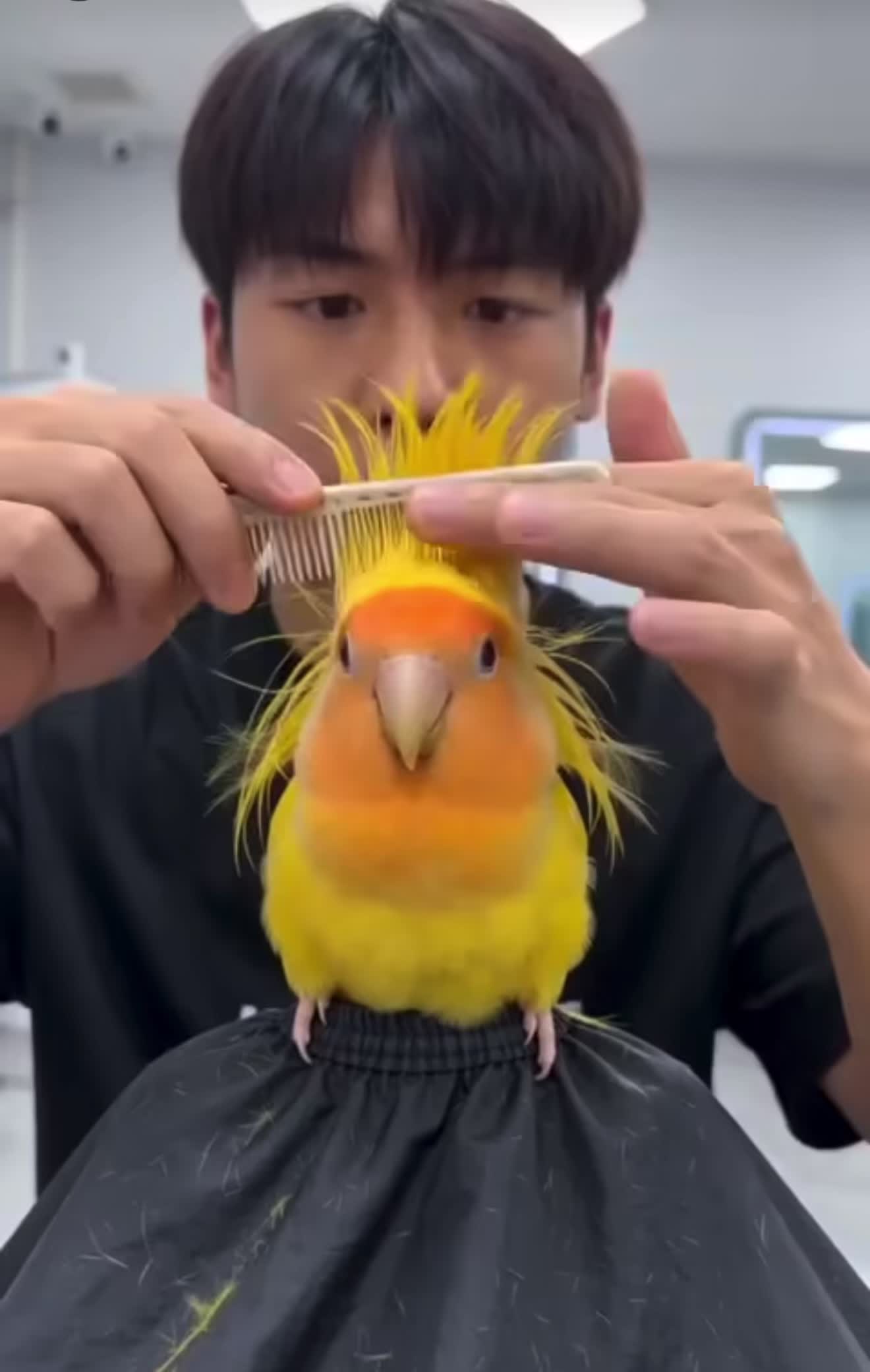@Animelover89
