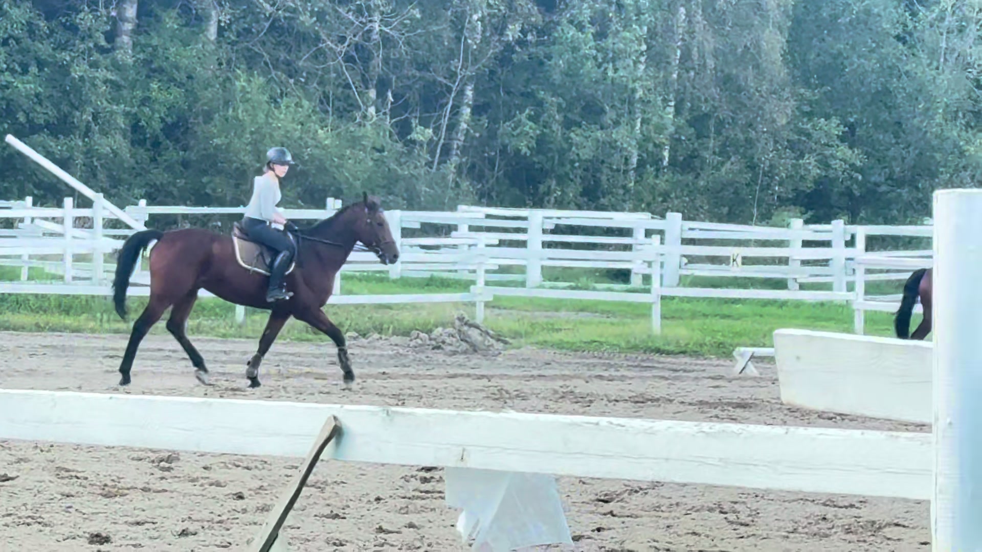 @🏇🏽💨