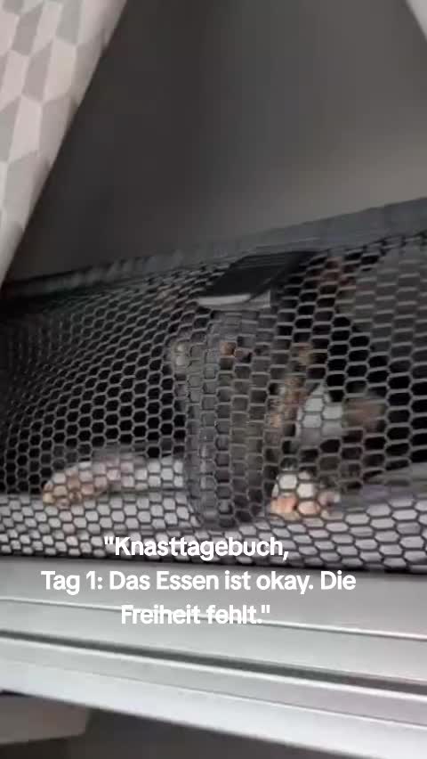 @DerJokerUndSeineFreunde