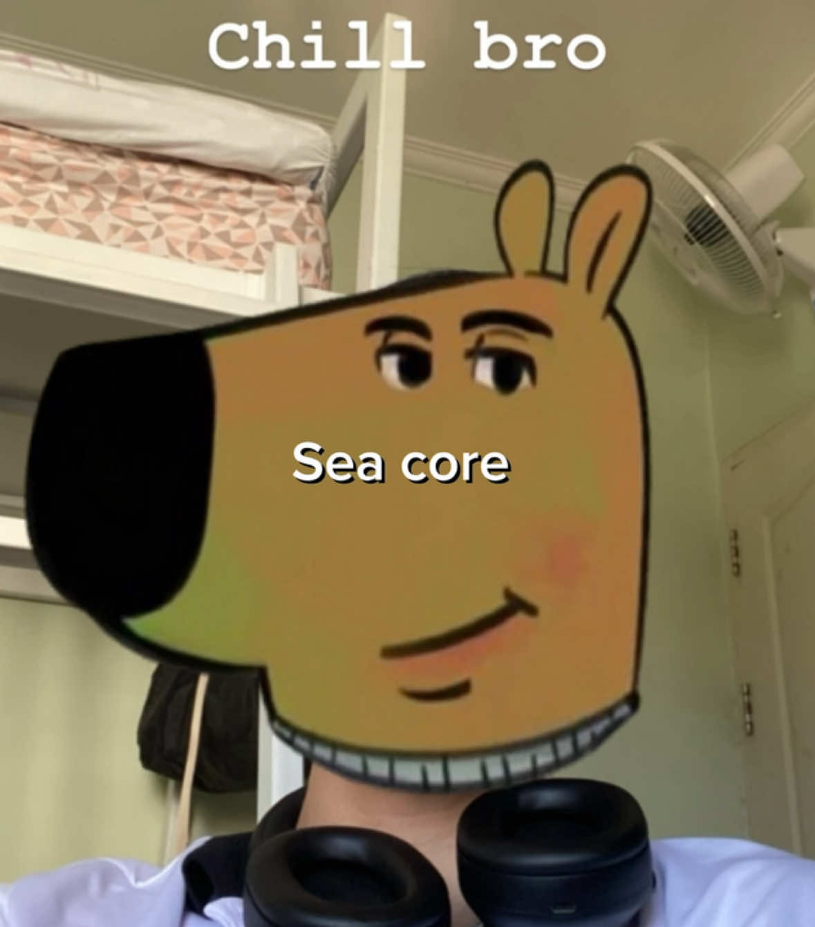 @seani ⋮ ⌗ ┆ 𝟏𝟎𝟏