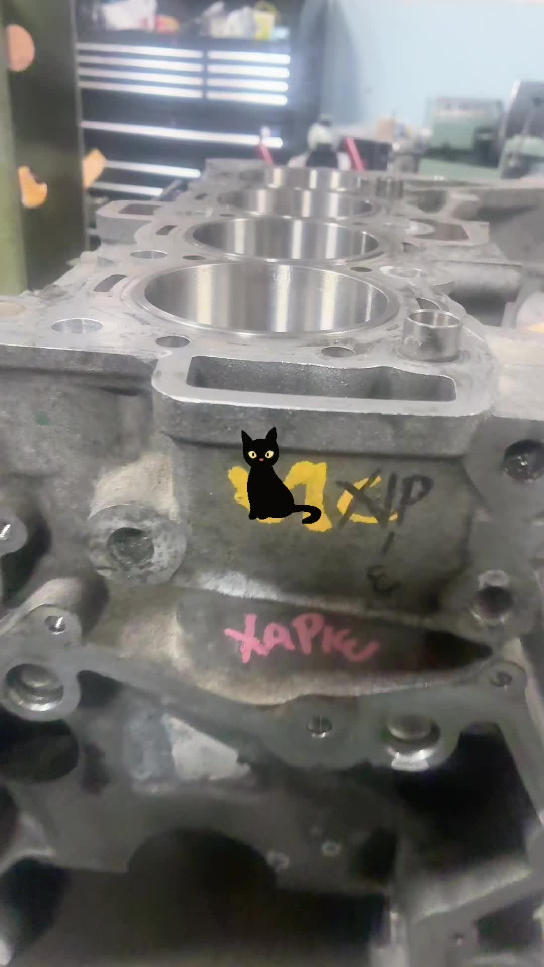 @Capitan Haris 🚀