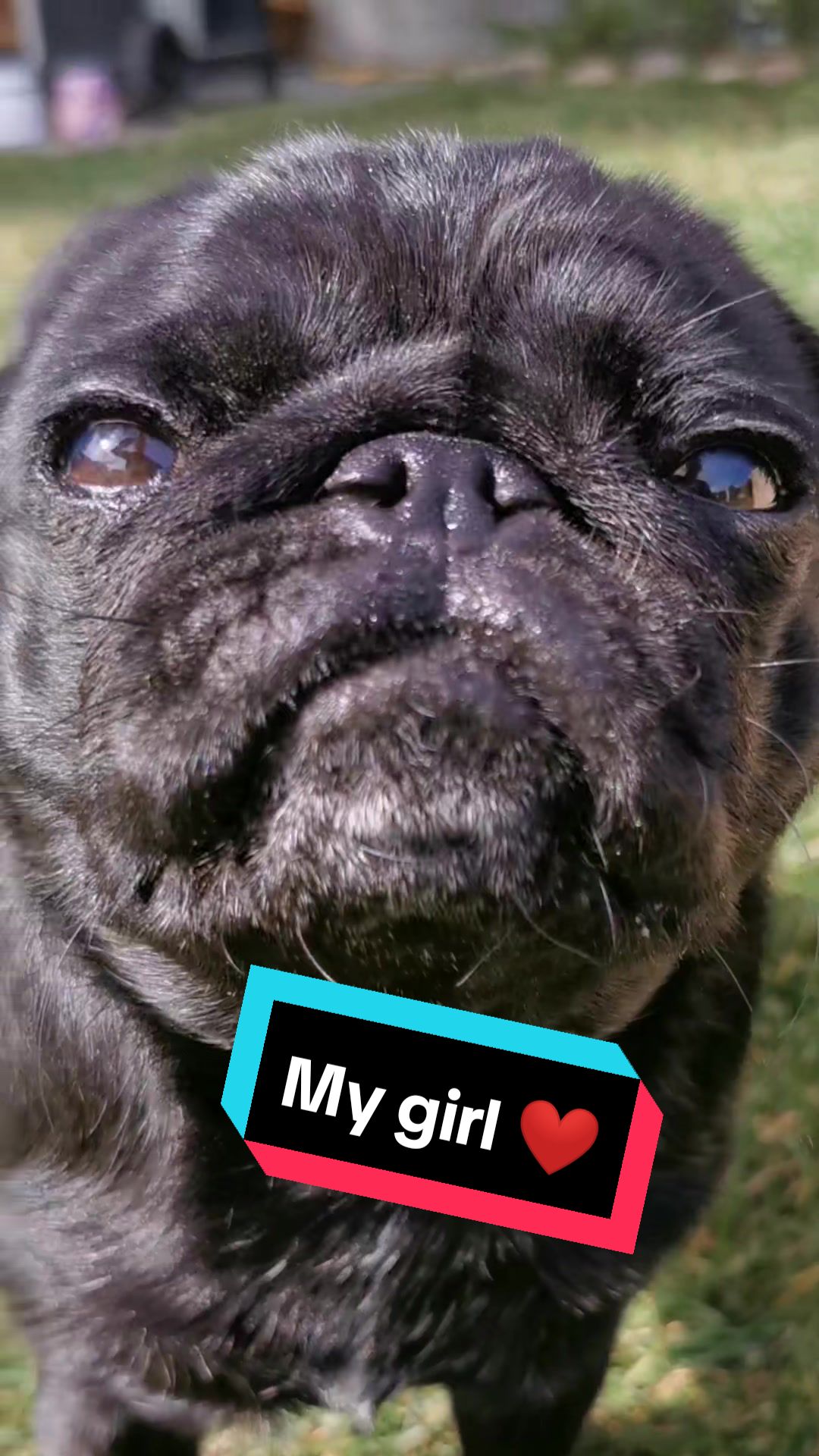 @Lola and Ludo ❤️
