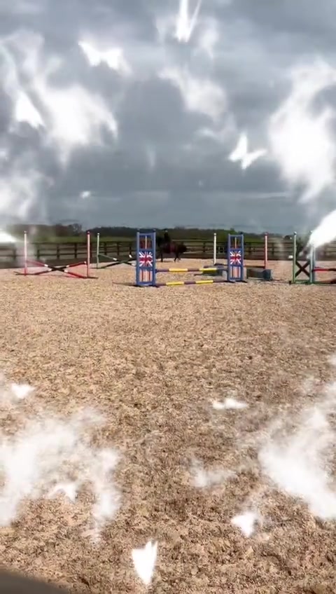 @lisajanewalters