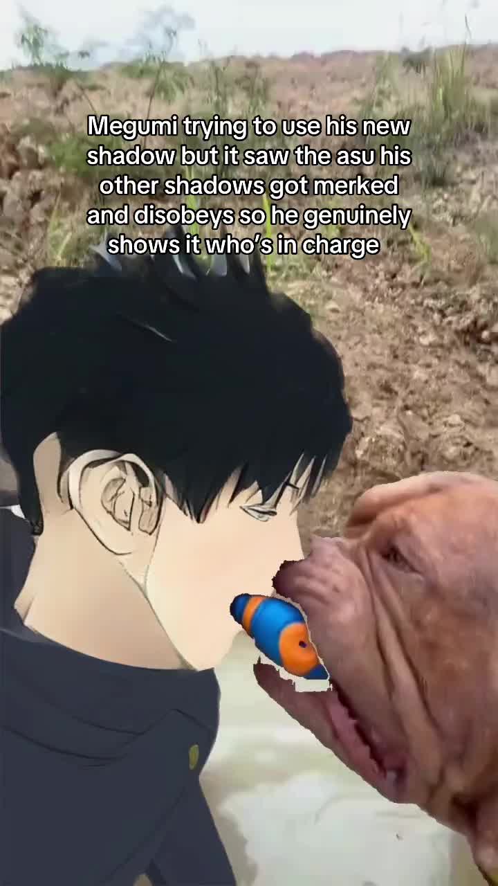 @Milkies/Echidna