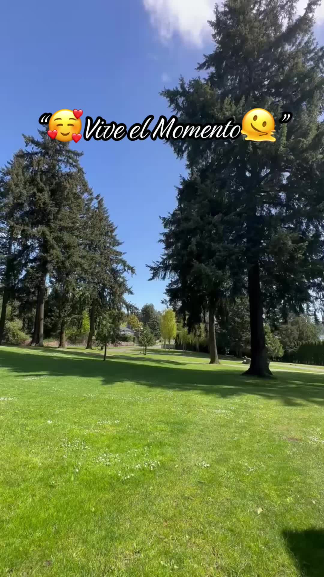 @Ari