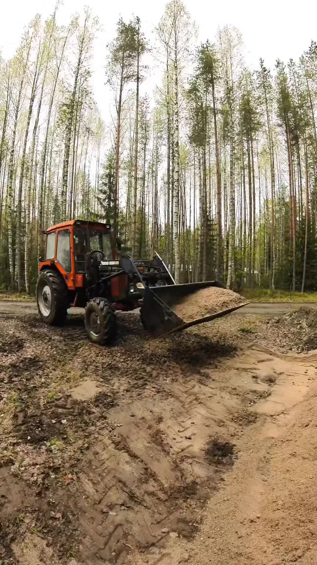 @ForestAndWheels