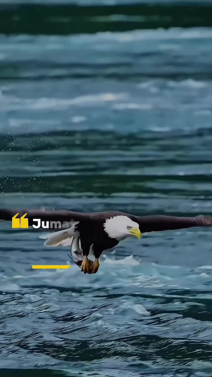 @ᥫ᭡ᴄᴇᴏ_ᴏғ_sᴛᴏʀʏ