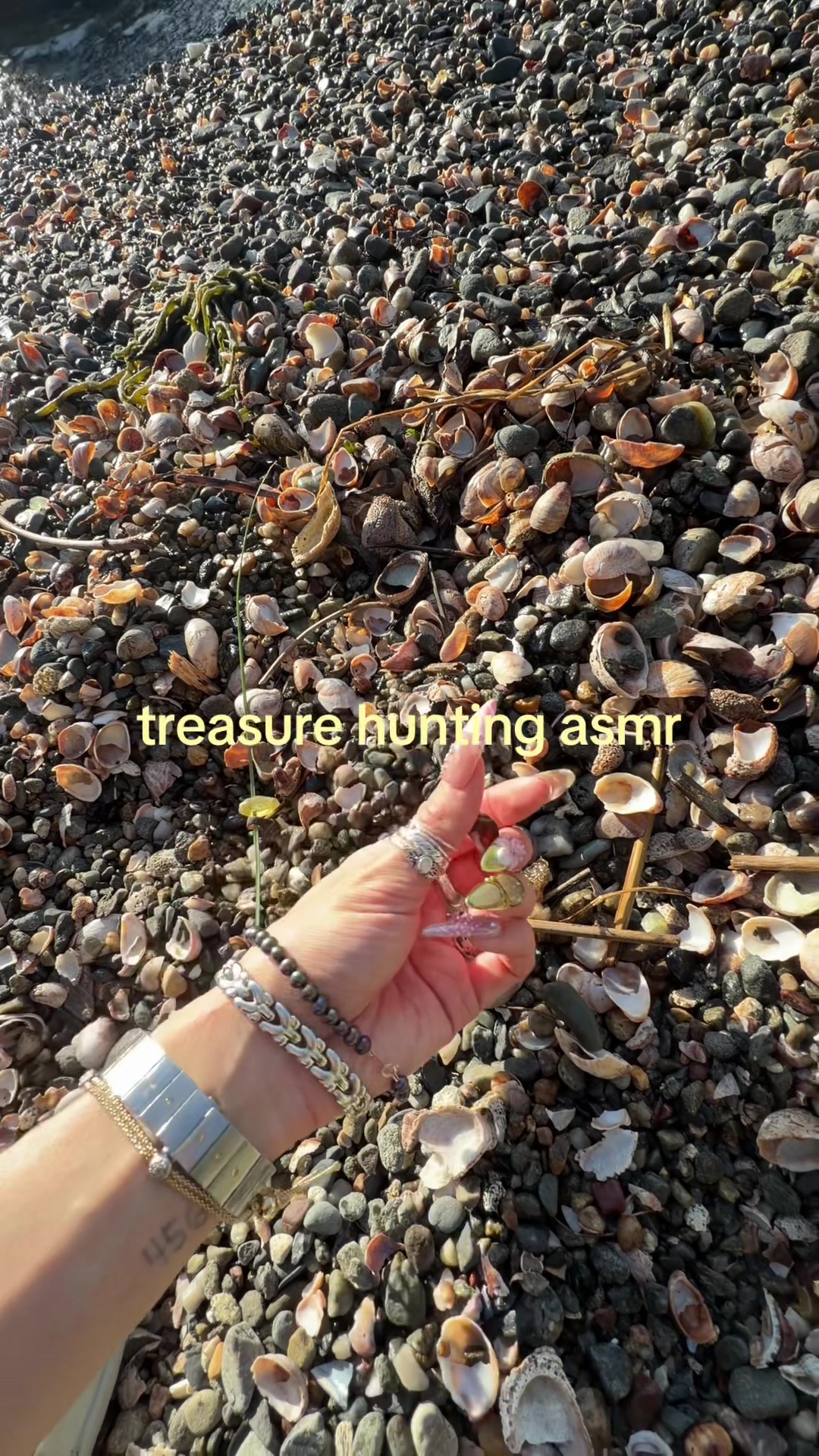 @CherryB ASMR ๐๐ธ
