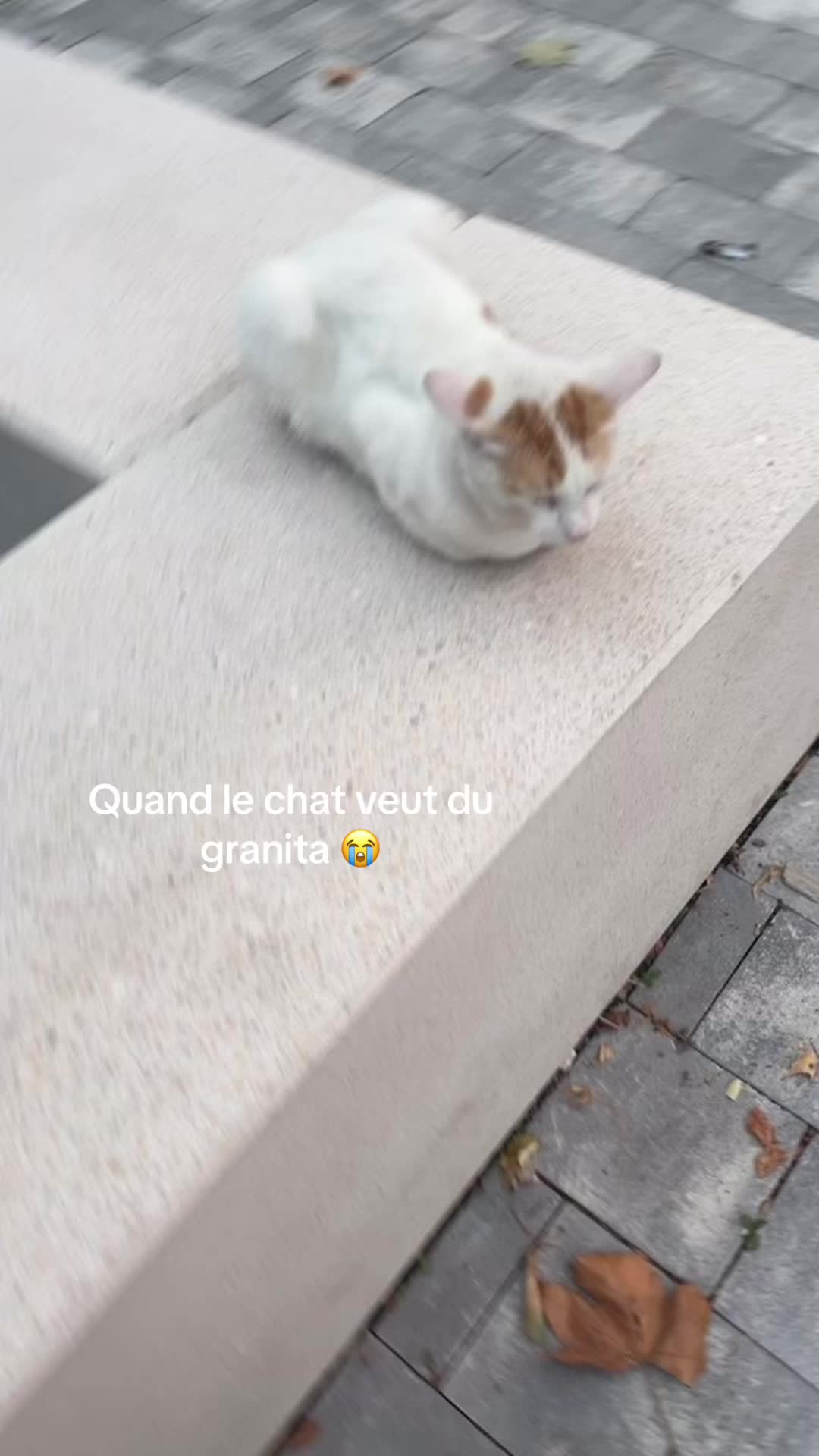 @𝐅𝐫𝐧.𝐜𝐞𝐬𝐜𝐚📿
