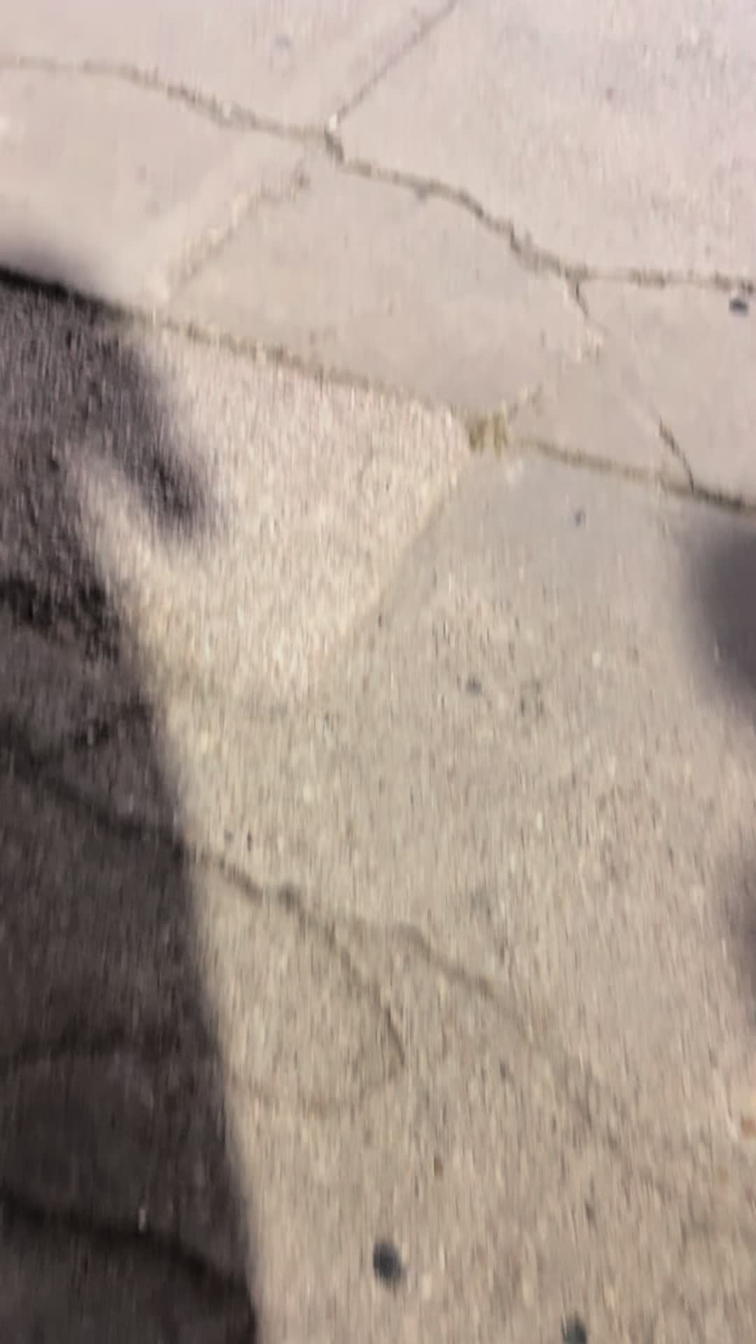 @𝐿𝒾𝓂𝒾𝓉𝑒𝒹𝒫𝒽𝒾𝓁