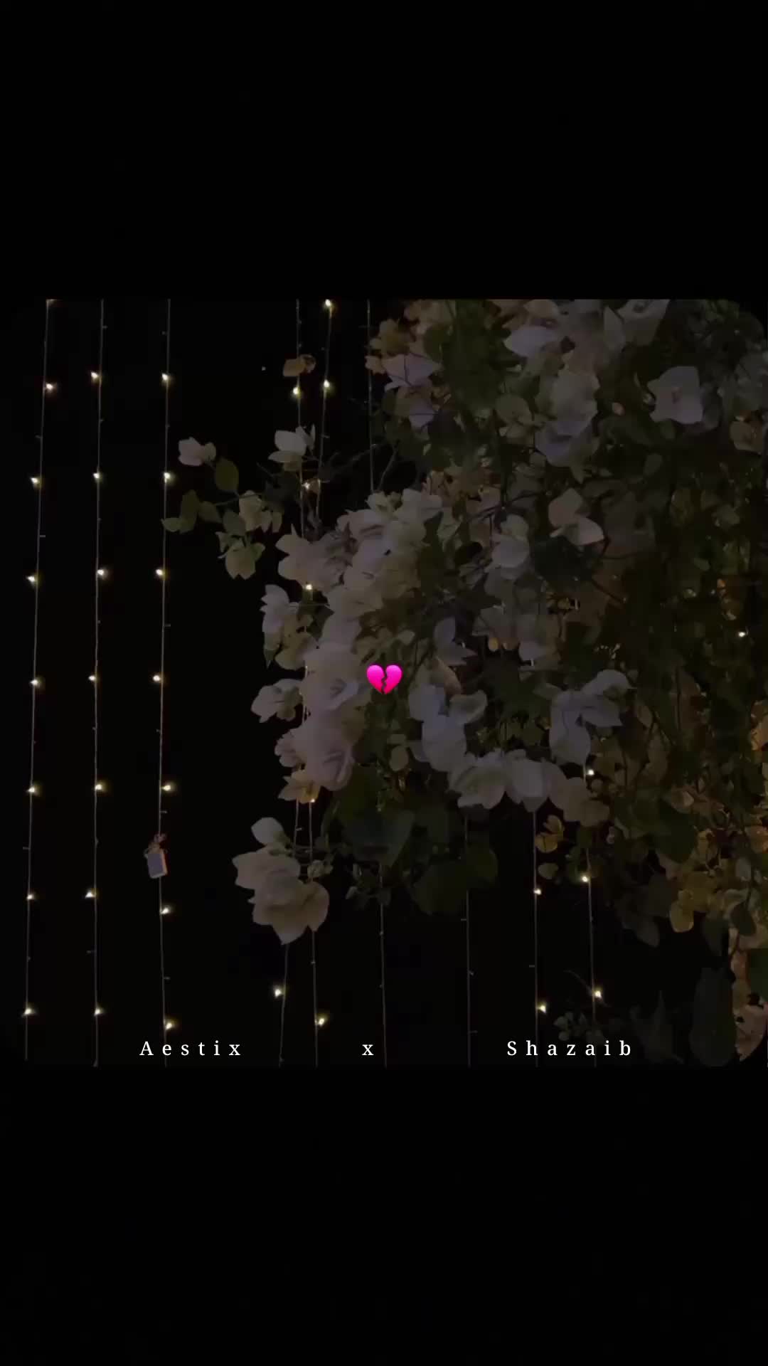 @Aestix x Shazaib