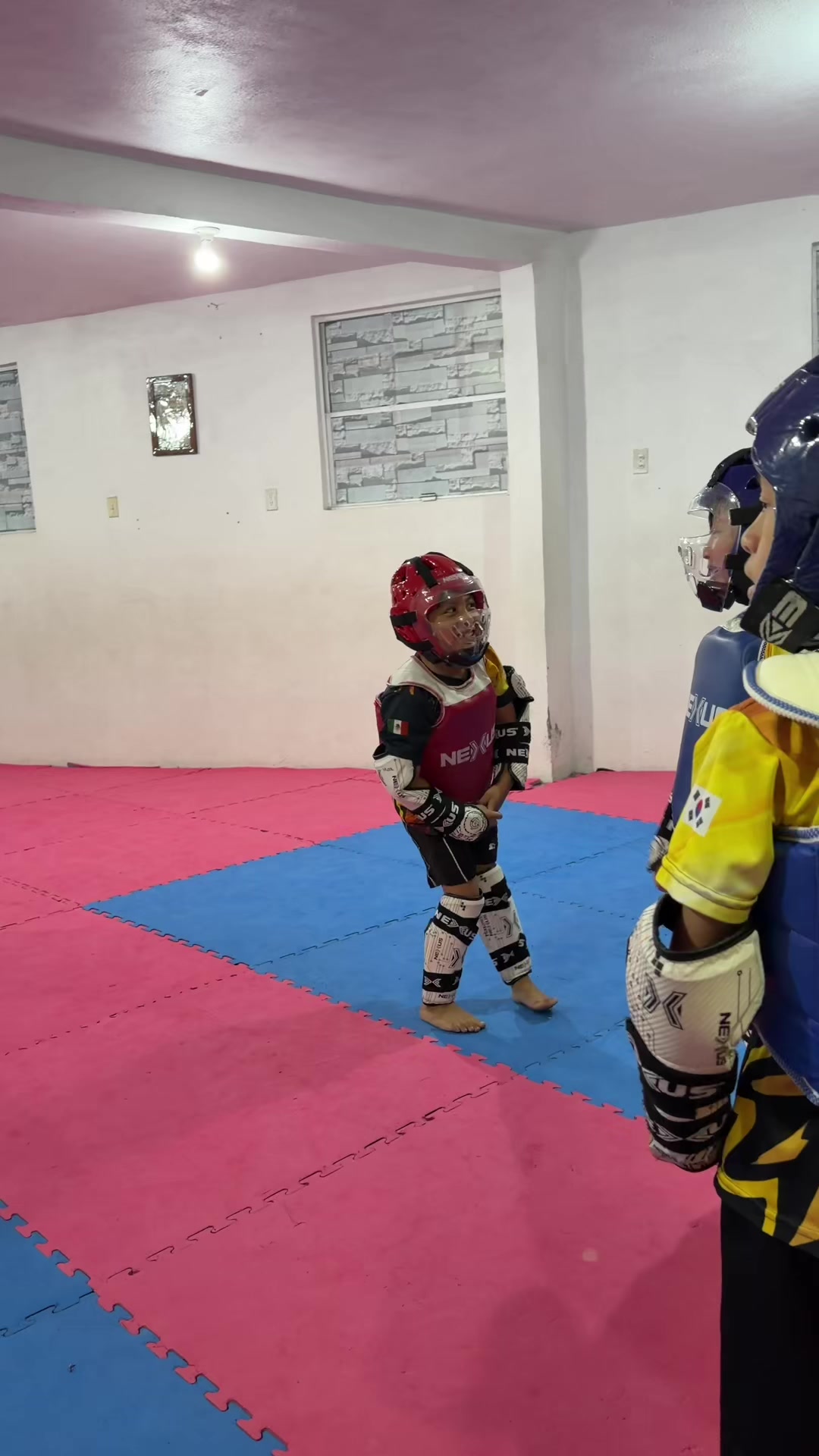 @taekwondolionsteam