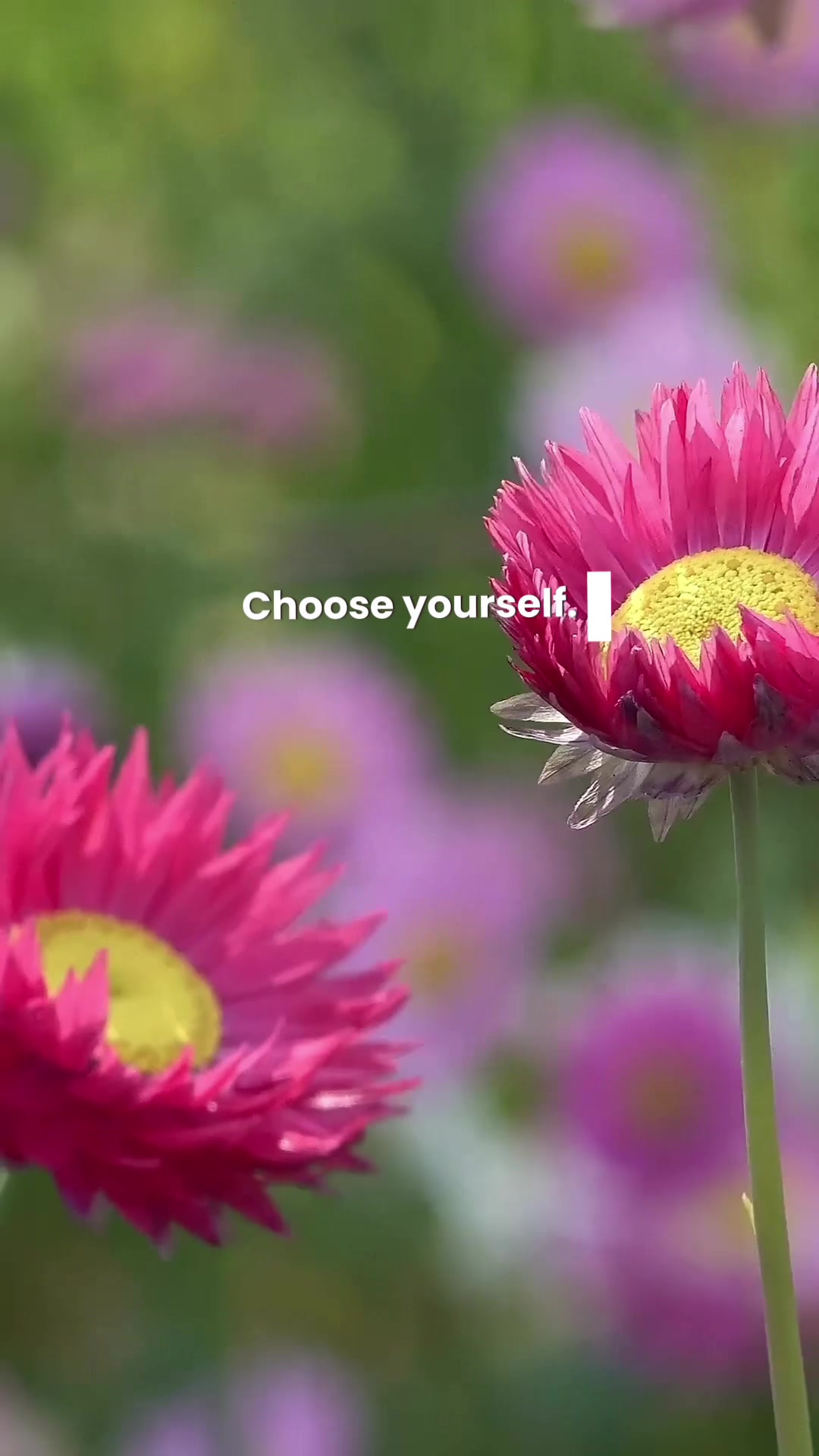 @VIVIDNOW Mindset & Positivity