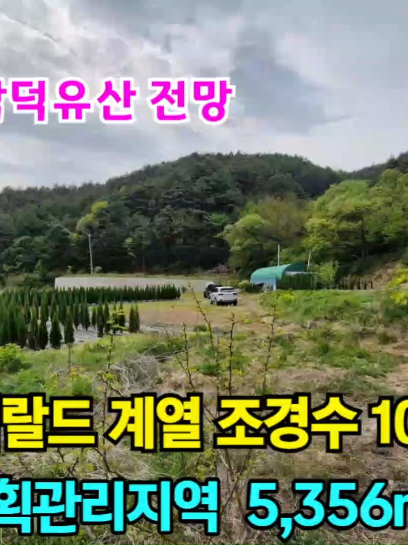 @민랜드부동산