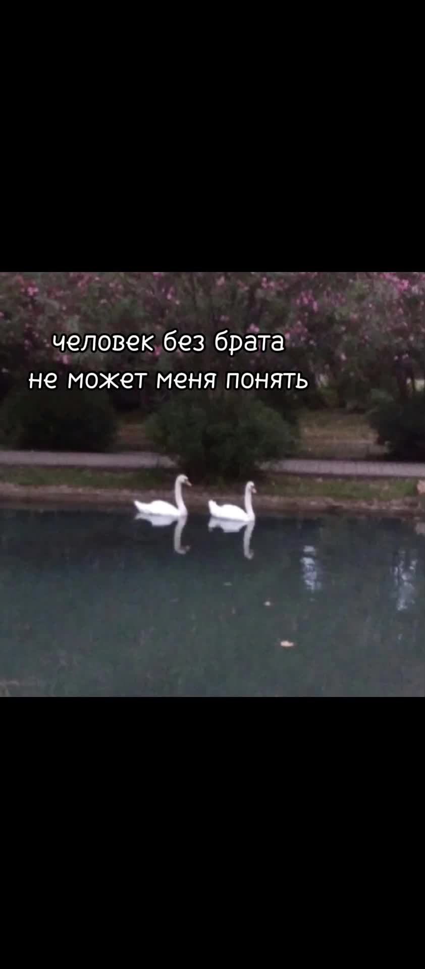 @๑𝓢𝓸𝓯𝓲𝓴𝓼.๑