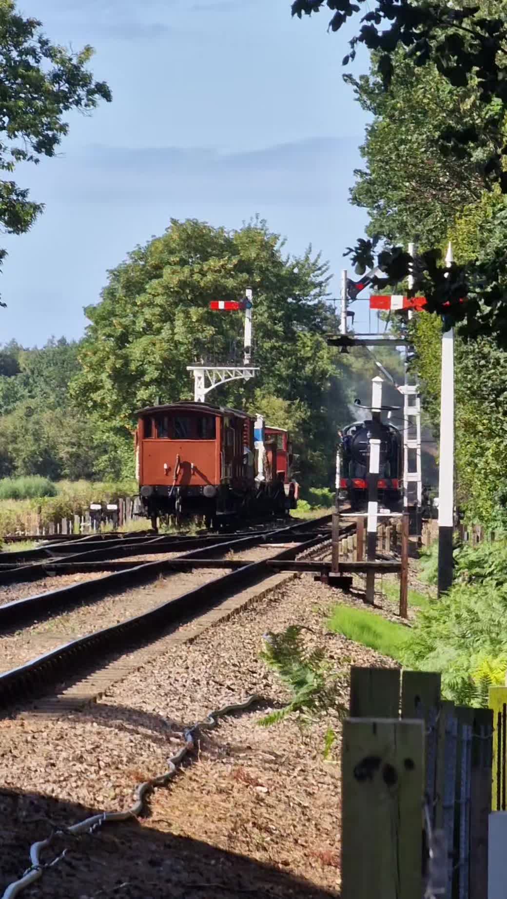 @LynnRailUK