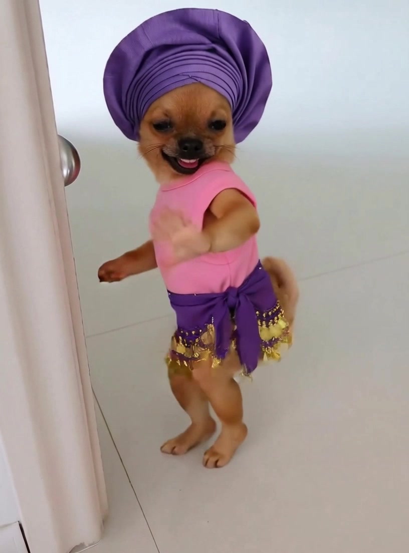 @Pawty